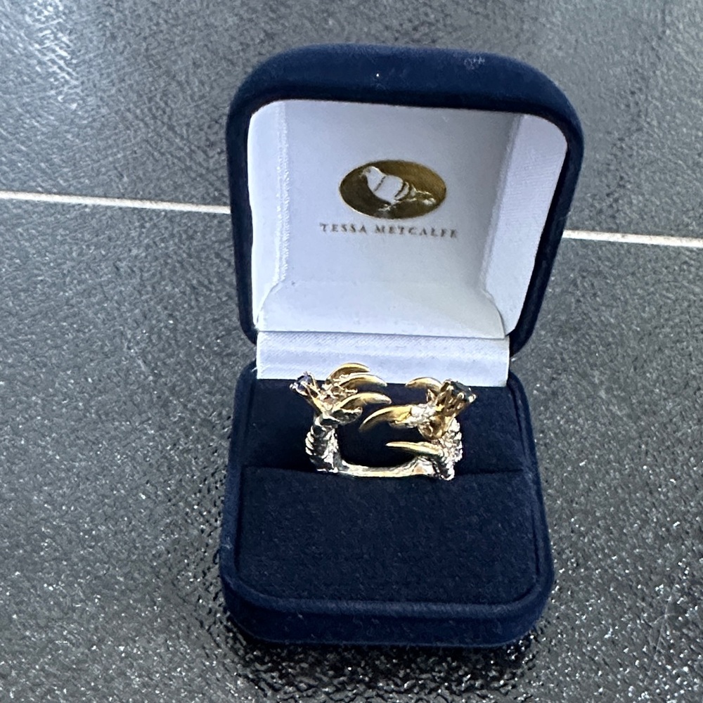 Topaz and Tanzanite - Pigeon Grasp with Mini Rings by Tessa Metcalfe